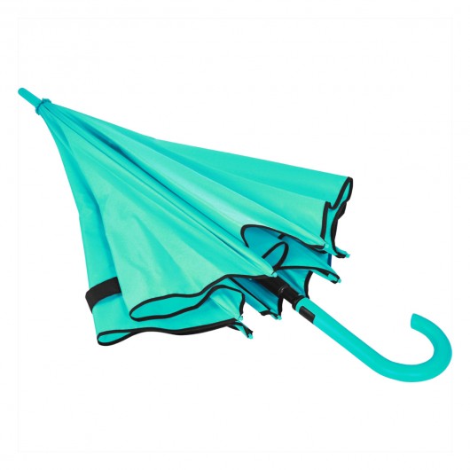 Colourised Fashion Umbrellas Mint Flat